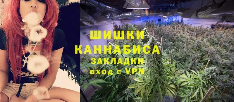 купить закладку  Новоузенск  Бошки Шишки OG Kush 